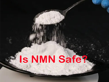 Is NMN Safe?